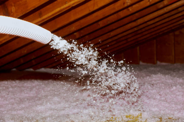 Professional Insulation Contractor in Fresno, TX