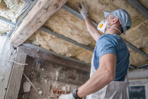 Best Residential Insulation in Fresno, TX