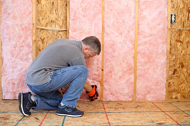 Best Specialized Insulation Services in Fresno, TX