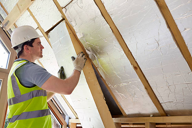 Best Cellulose Insulation in Fresno, TX